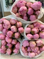 пионы