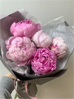пион сара 10013