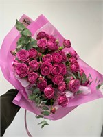 фуксия 10035