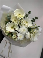 беленький 10037